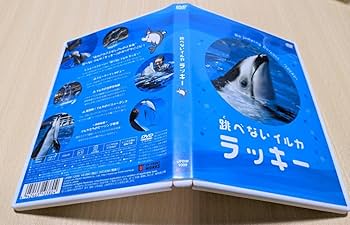 Amazon.co.jp: DVD跳べないイルカ ラッキー 品川アクア